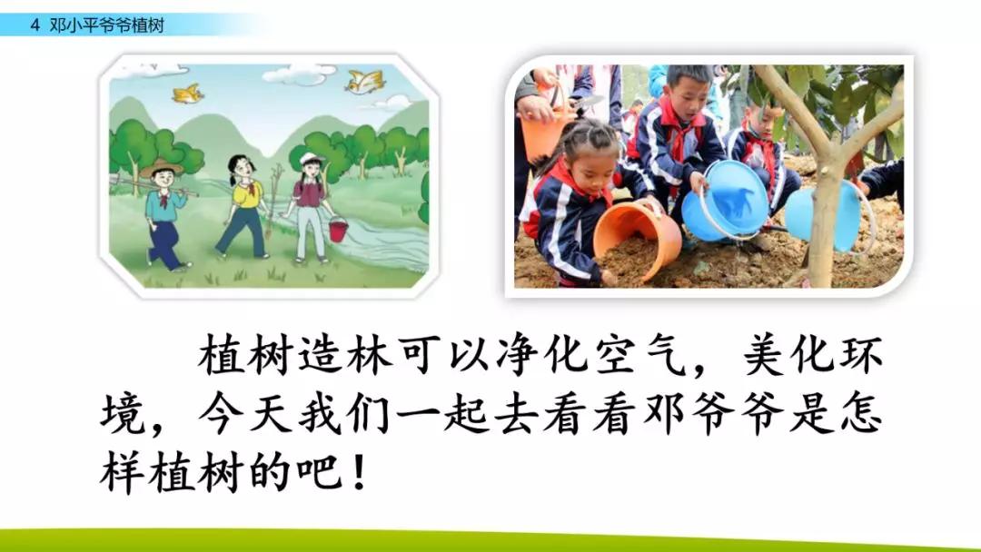 部编版二年级下册语文第4课《*小平邓**爷爷植树》知识点+图文讲解