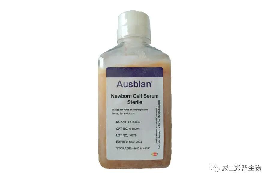 高品质新生牛血清为疫苗生产助力,疫苗血清制品包括哪些药品