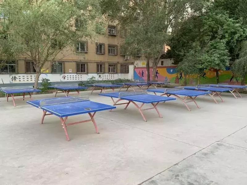 哈密市第二小学运动会奇葩项目,哈密第二小学在哪