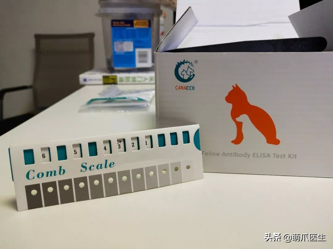 丧尽天良的黑心试剂盒，你们害死了多少猫