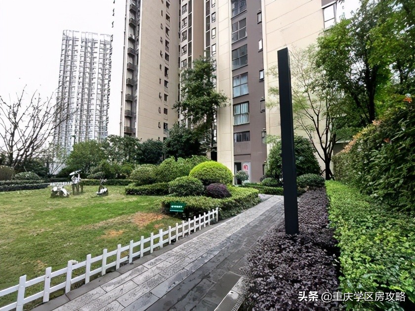 照母山的重点中学,照母山优质学区