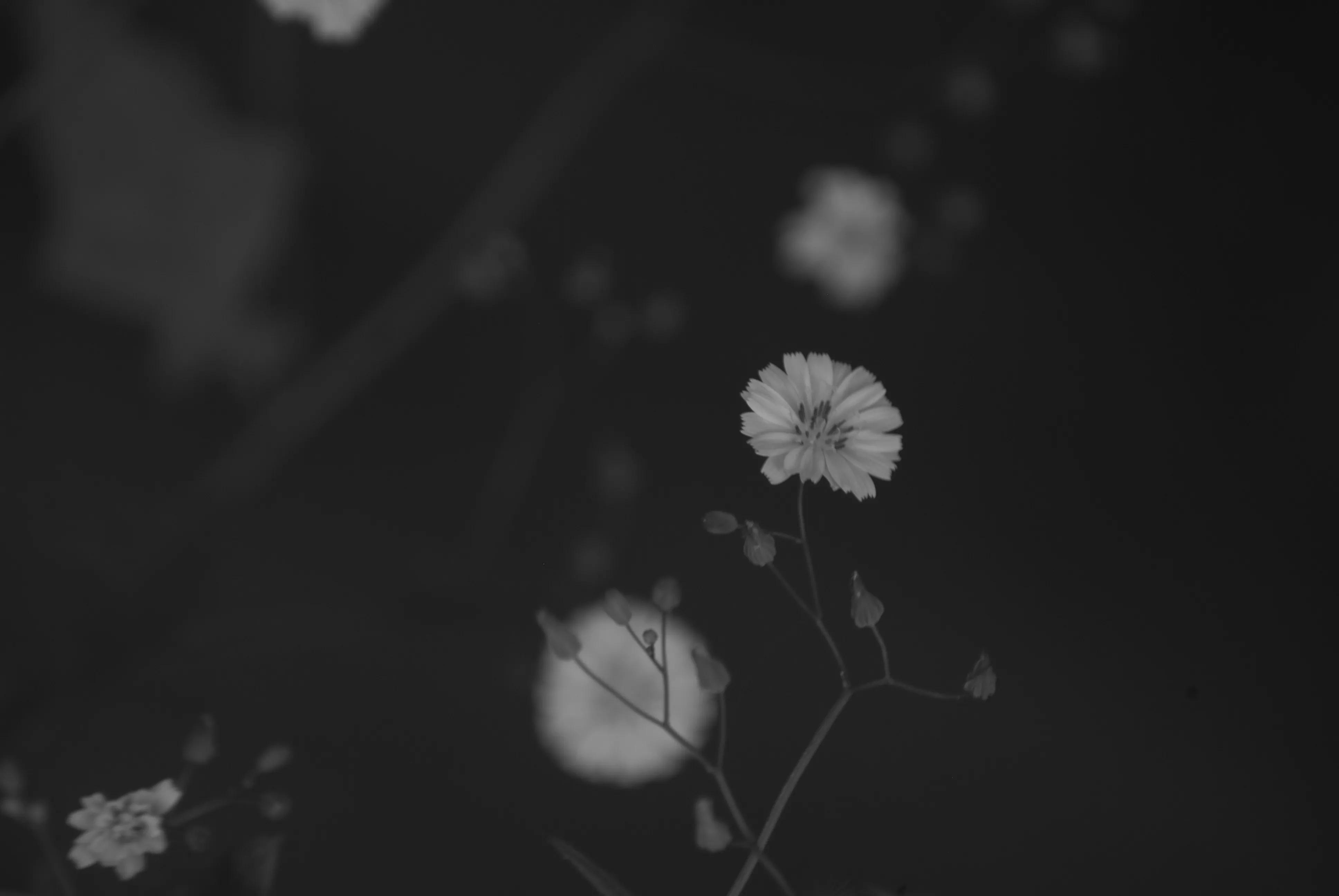 1000多的二手单反值得买吗,1000元左右二手单反全画幅