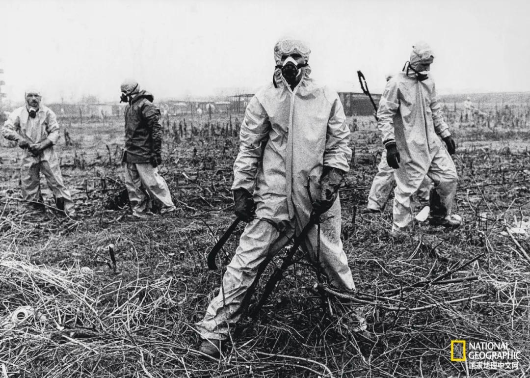 我们的地球很老了吗,地球还能再活几岁