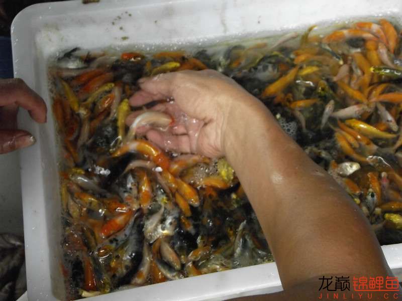 开渔场赚钱吗,开渔场需要多少资金