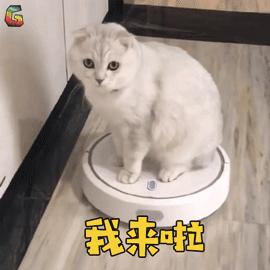 舞蹈生怎么练后手翻8-12岁,舞蹈生瘦手臂训练