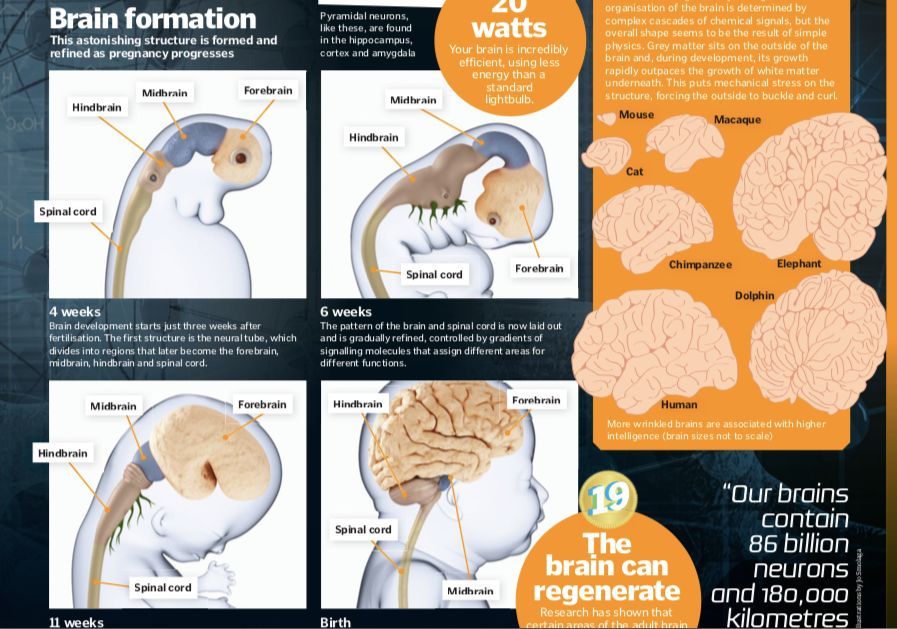 走近科学为什么停播了,走近科学为啥停播了