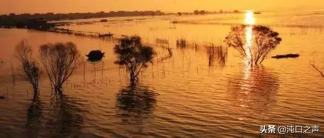 生活在江夏是种什么样的体验,生活在湖北的感受