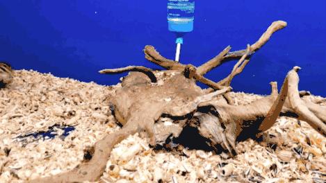 二月份临沂海洋世界主题公园,临沂海洋世界门票哪些人免票