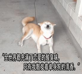 十大适合单身的专业,单身率高的十大行业