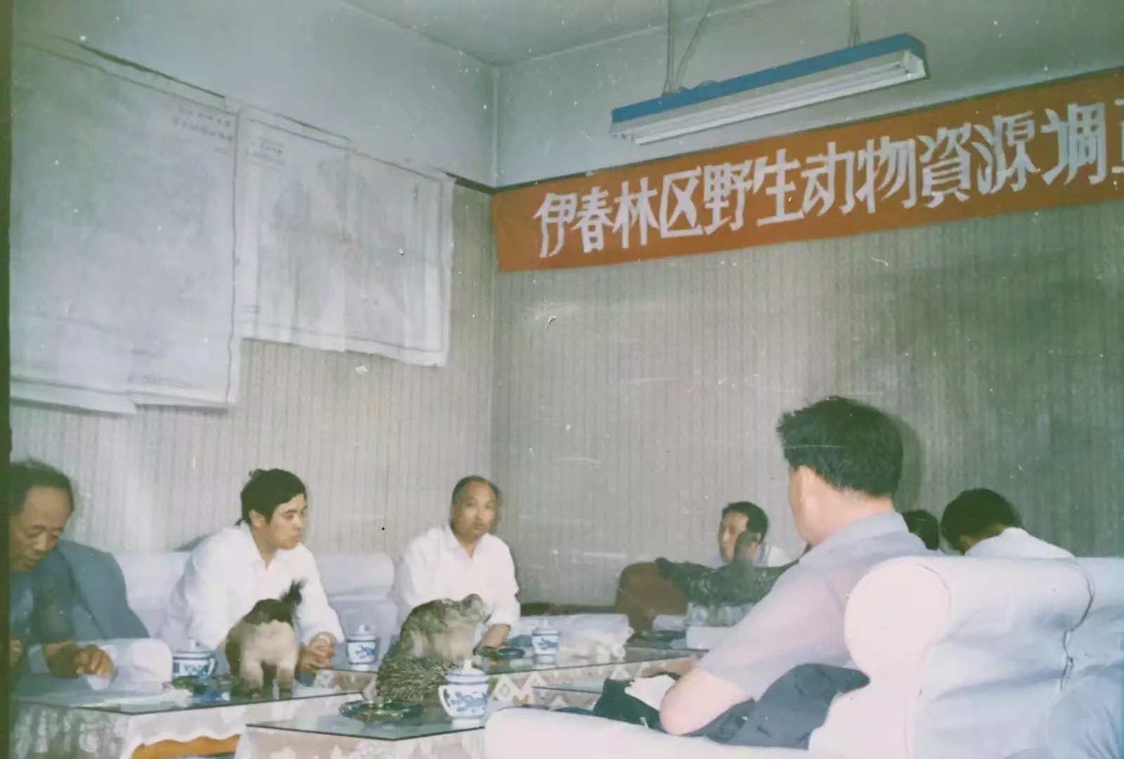 90年代伊春往事,伊春林区往事