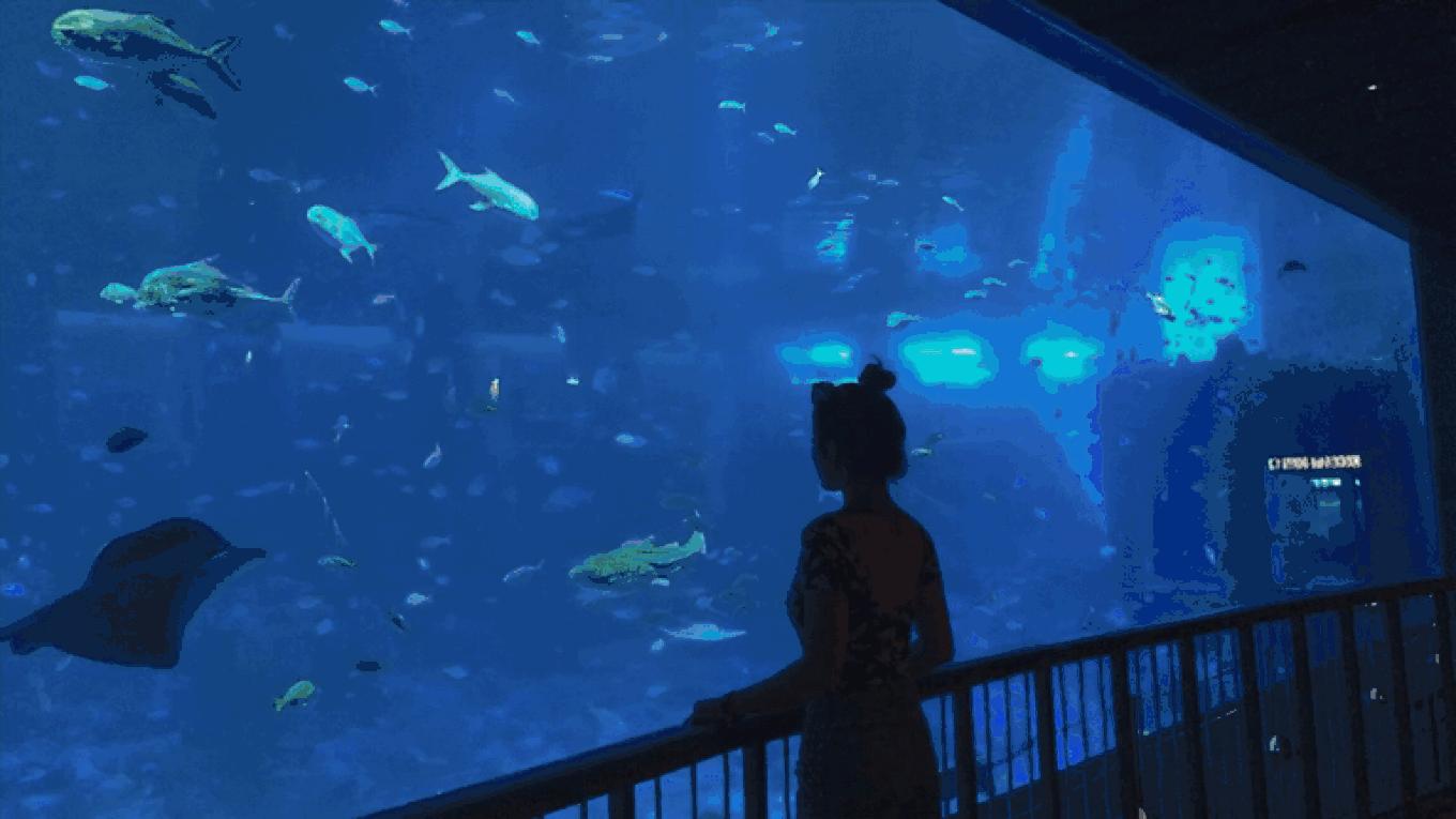 圣淘沙名胜世界攻略,请收下这份旅游攻略