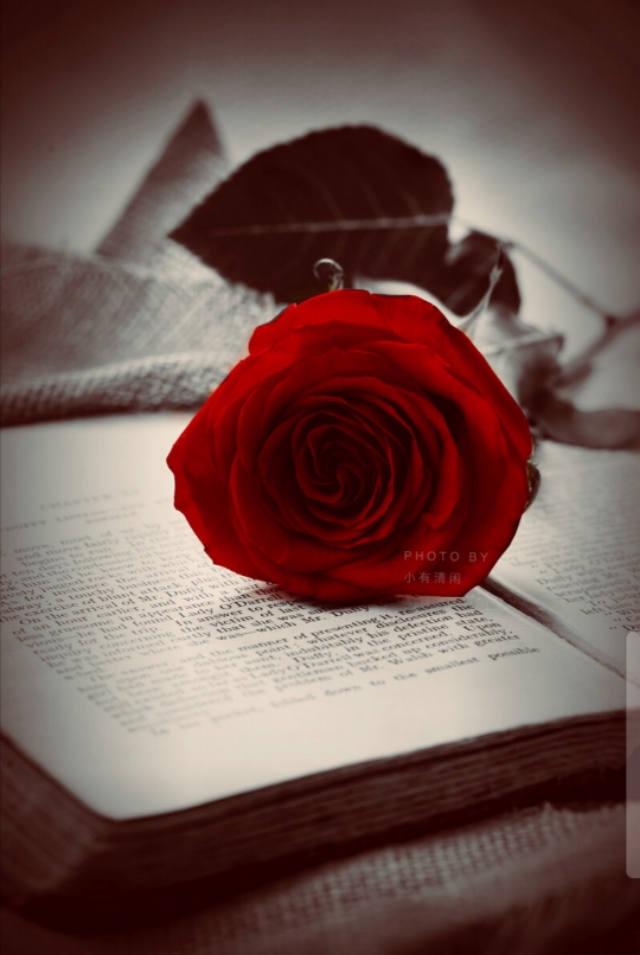 35句励志诗词名句惊艳了岁月,关于自强不息的励志诗句精选