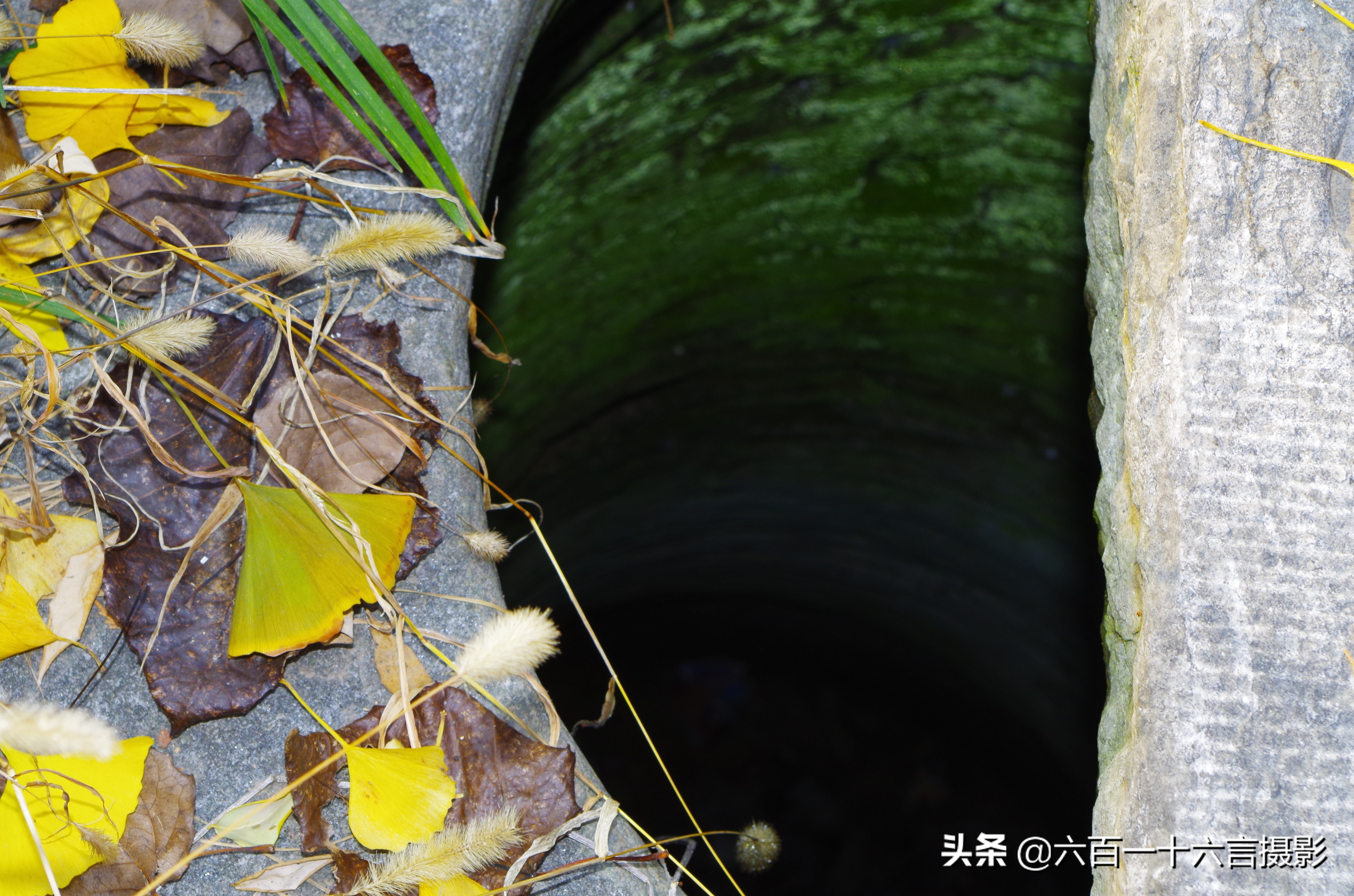 这里是正定04:传说中的御井长这样