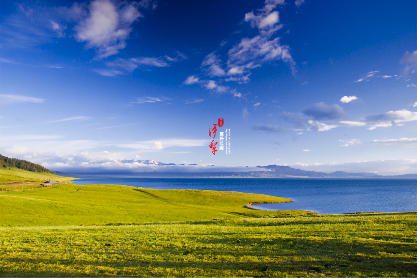 新疆疆内旅行攻略学生,川进疆出自驾游攻略