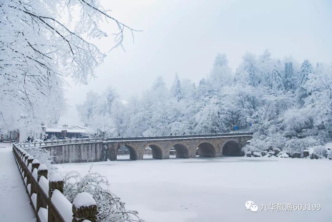 这样生活的九华土著，才是真正的人生赢家