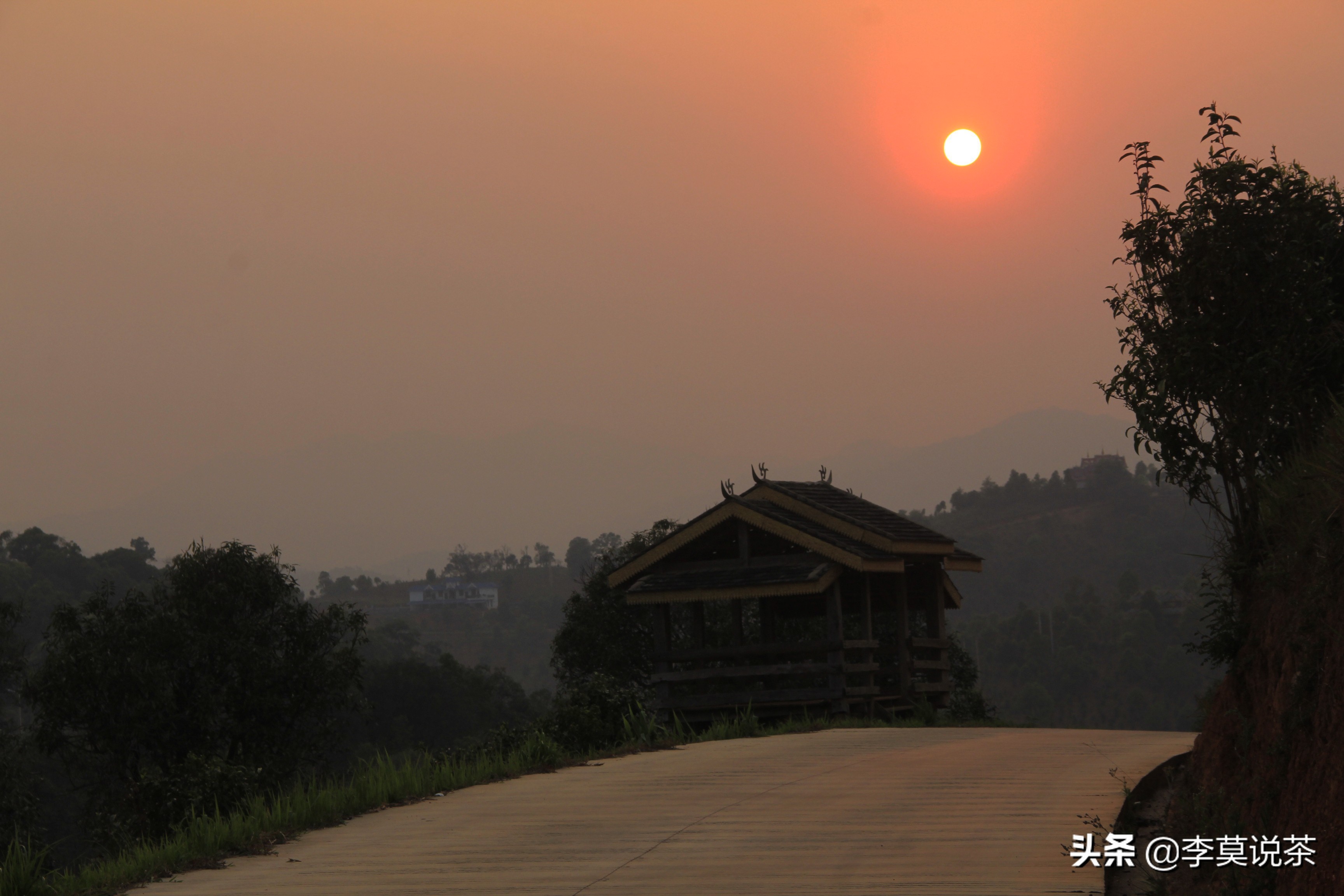 卖茶的懂茶又懂文化,卖茶的一定要懂茶
