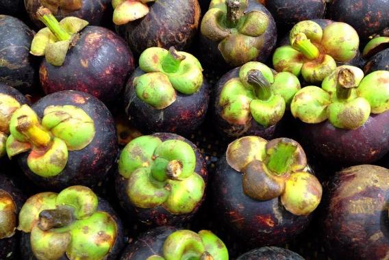 山竹里边有黄的是坏了吗,山竹里有黄浆是什么原因