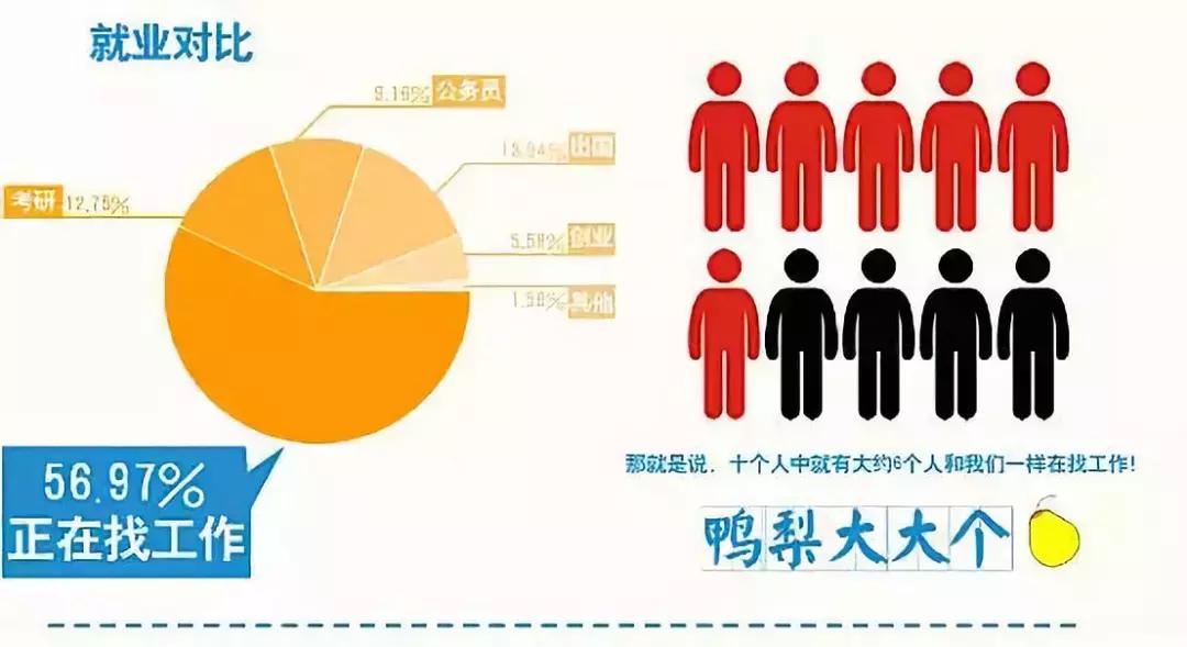 瞄准大学生的培训贷陷阱,大学生培训贷被骗了怎么办
