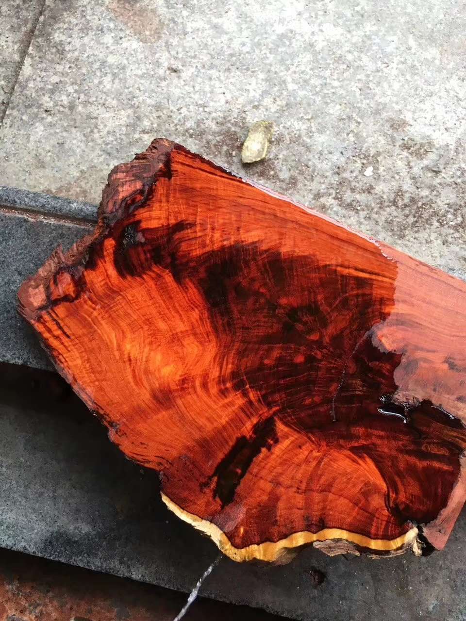 带你了解真正的印度,老料紫檀和印度小叶紫檀的区别