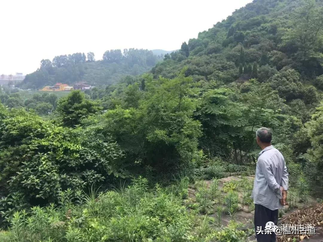 状元古镇地名传奇