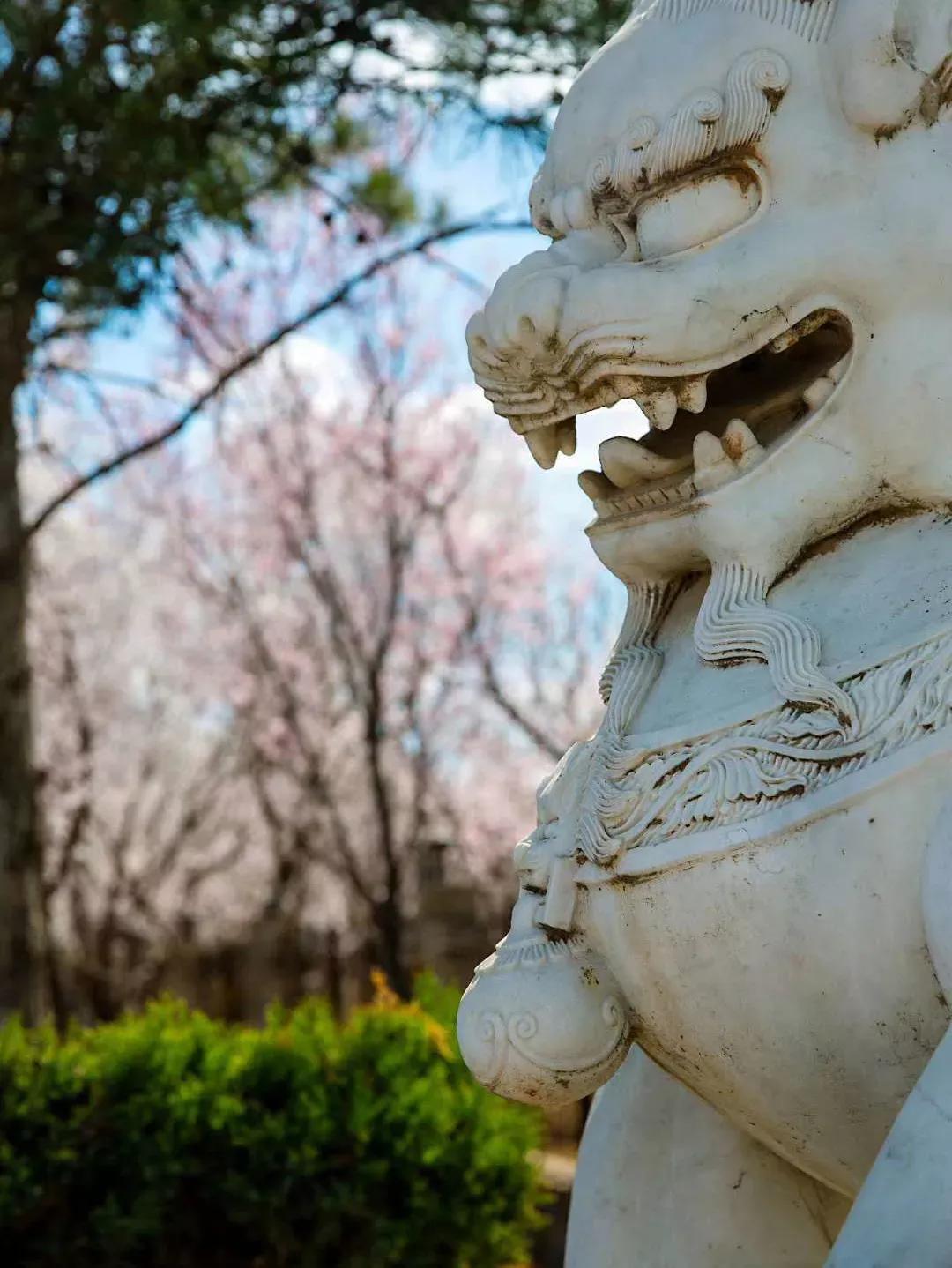 辽宁省民办大学,辽宁理工学院是民办吗