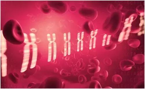 欧洲皇室病,欧洲皇室疾病