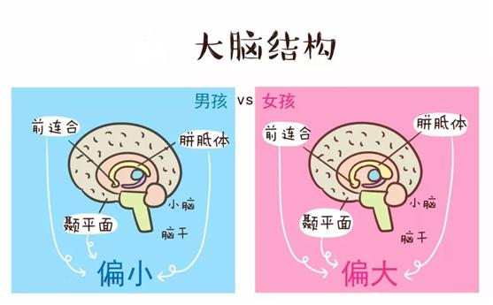 苏州人为什么喜欢吃糖,苏州人为什么喜欢吃辣的