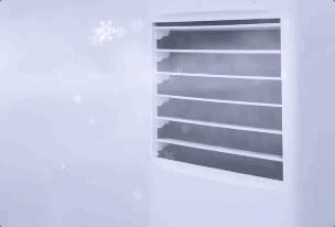 格力董小姐发言,格力董小姐最新消息