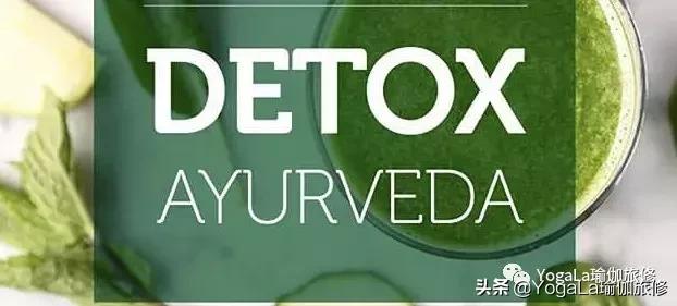 YogaLa2019印度南部阿育啡陀认证课程+排毒解压之旅