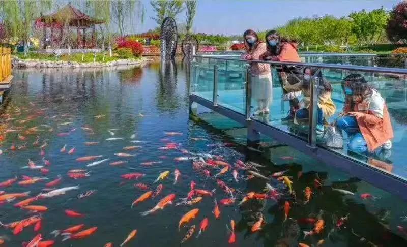 5.17遇见Ta在一起|这里有个不一样的脱单机会，速来~