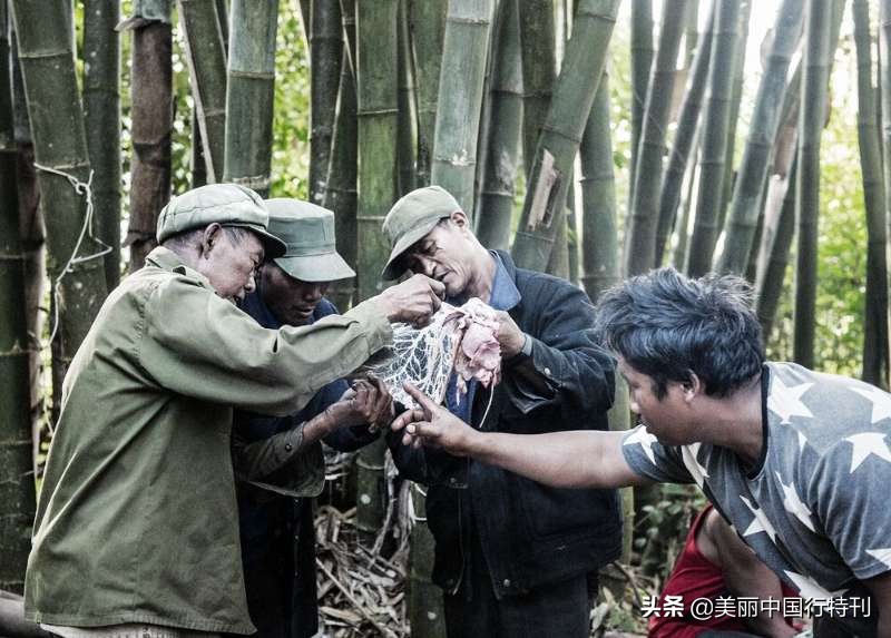 阿佤人民唱新歌是唱的佤族吗,阿佤人民唱新歌的佤族是佤邦吗