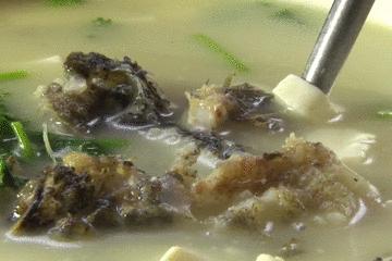 珠海海岛特色海鲜,珠海海岛10大绝美景点打卡攻略