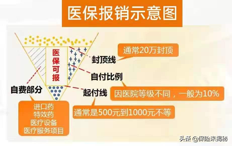 非深户社保知识点,社保法律知识点