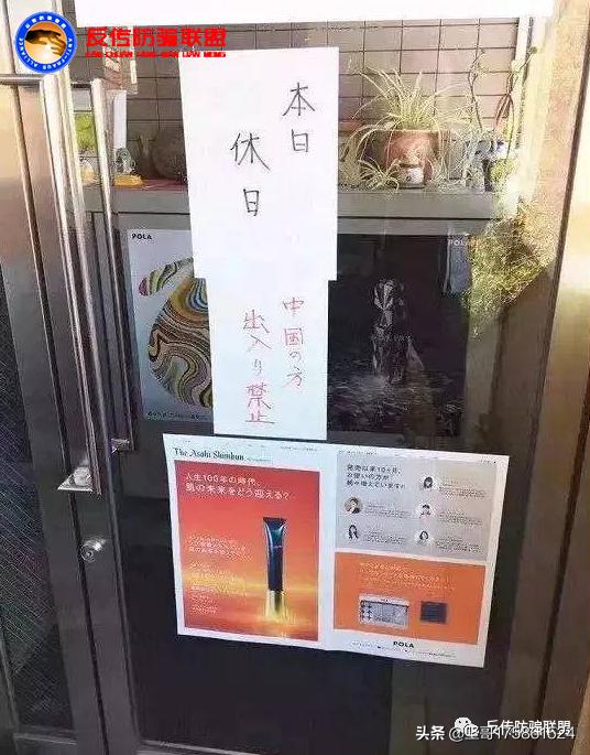 日本宝丽滋,日本宝丽的发展经历