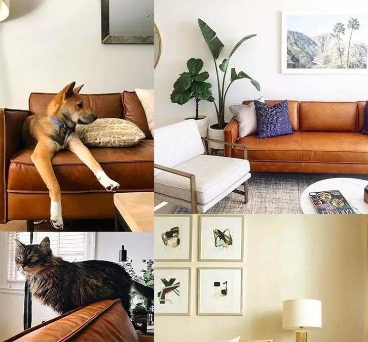 网购家具陷阱,网购家具避开这些雷区