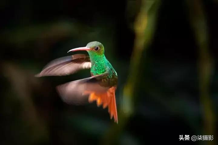聚焦区域和自动对焦模式的选择,6d对焦模式和对焦区域