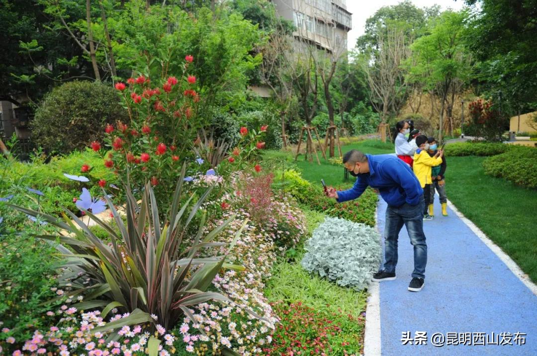 鏄嗘槑cop15鏄ュ煄涔嬬害娴峰焸浼氬爞澶滄櫙,鏄嗘槑cop15鏄ュ煄涔嬬害