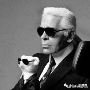 香奈儿chanel2022秋冬包,chanel香奈儿山茶花花型包