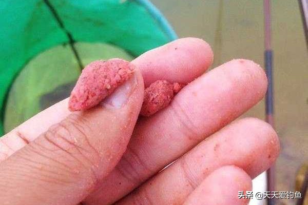 刮风天钓鲤鱼怎么钓,刮风天气野钓怎么样