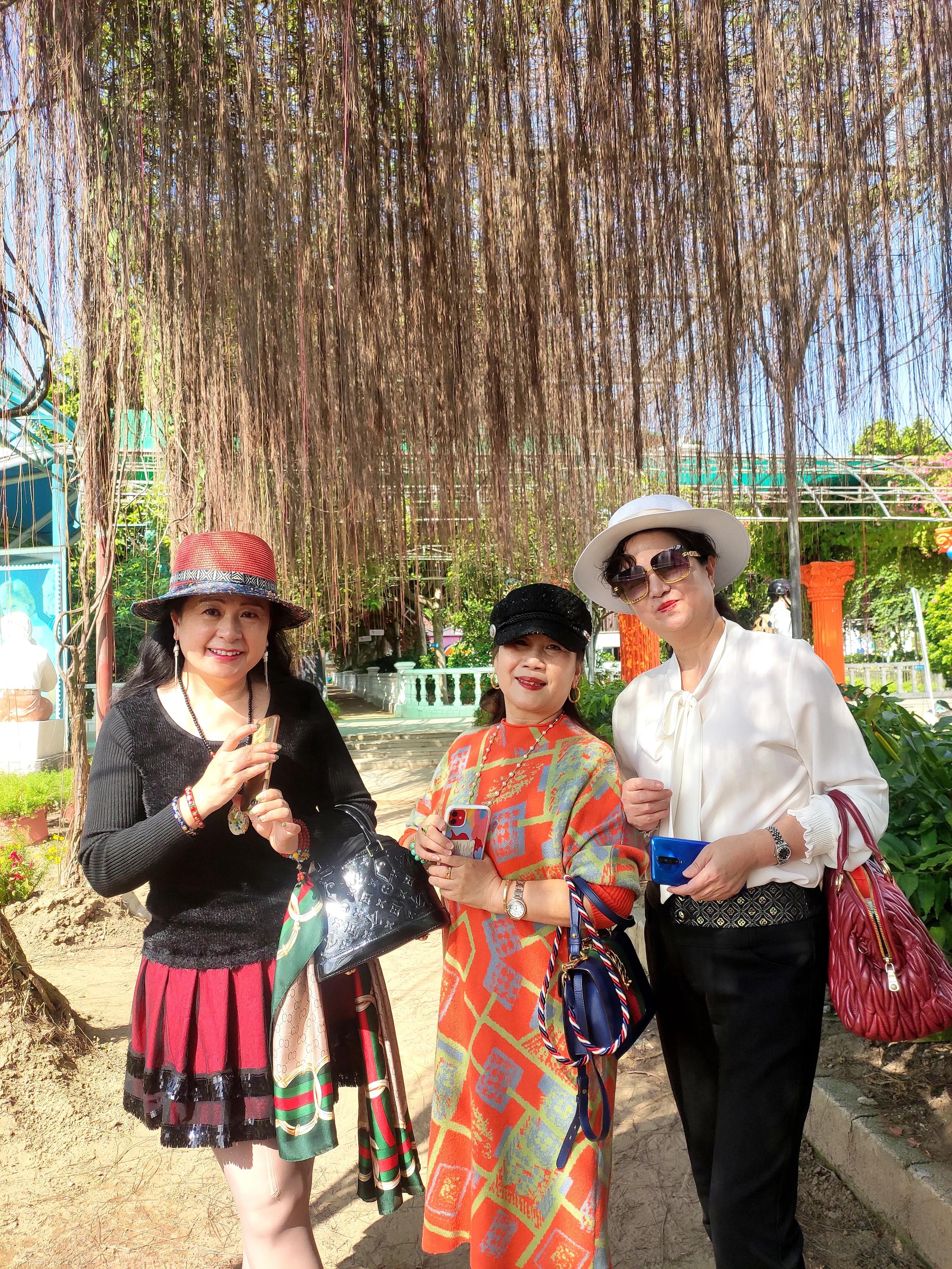 广州番禺百万葵园,广州百万葵园最佳观赏期