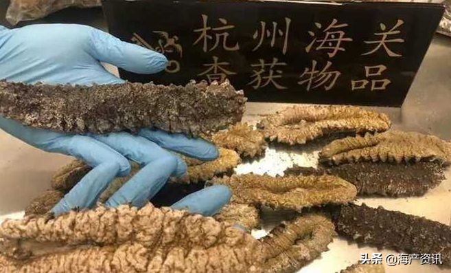 加拿大进口即食海参,加拿大超市抢购现状