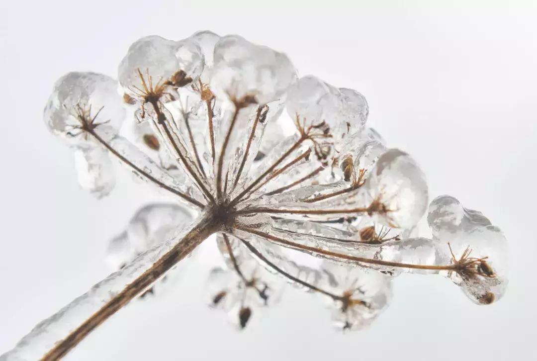 贵阳云雾山云海,贵阳云雾山雾凇旅游攻略