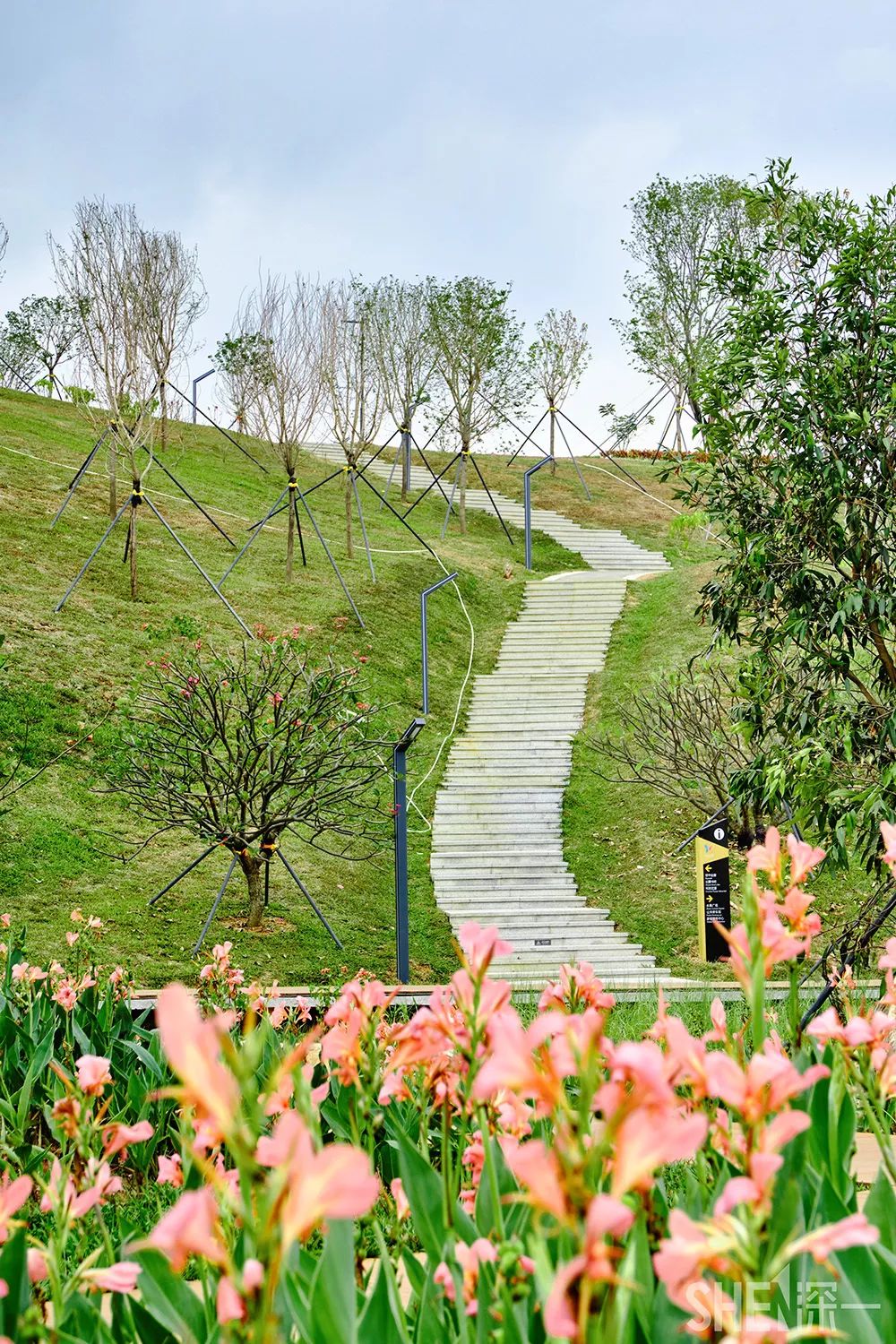 深圳龙华公园对外开放了吗,深圳市龙华新开的公园