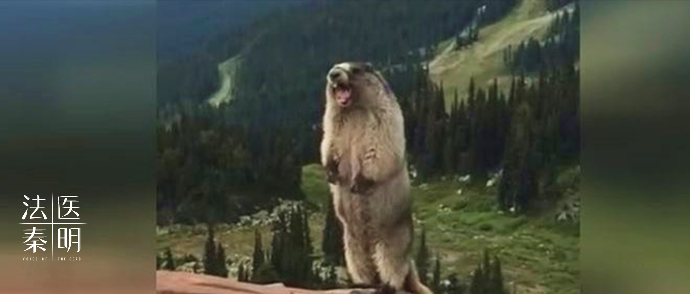 切菜不小心被刀口划了,手在切菜时被划伤了应该怎么办