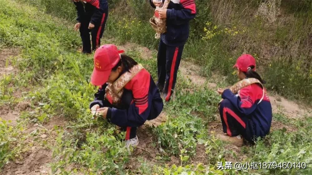 李锋教育视频全集,李锋教育跨年视频