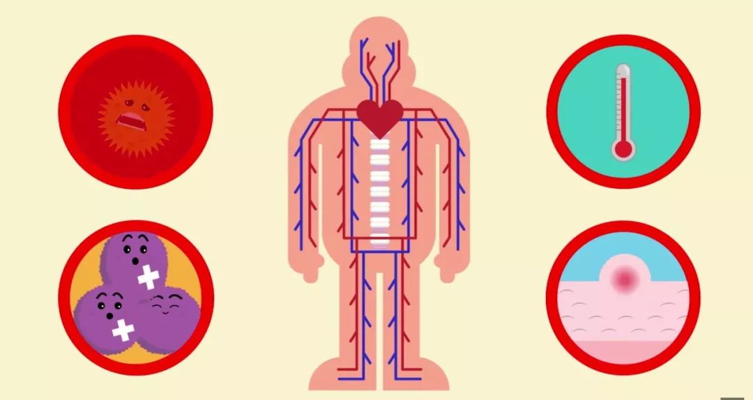 为什么经常生病的人反而活得长久,经常生病的人该怎么办