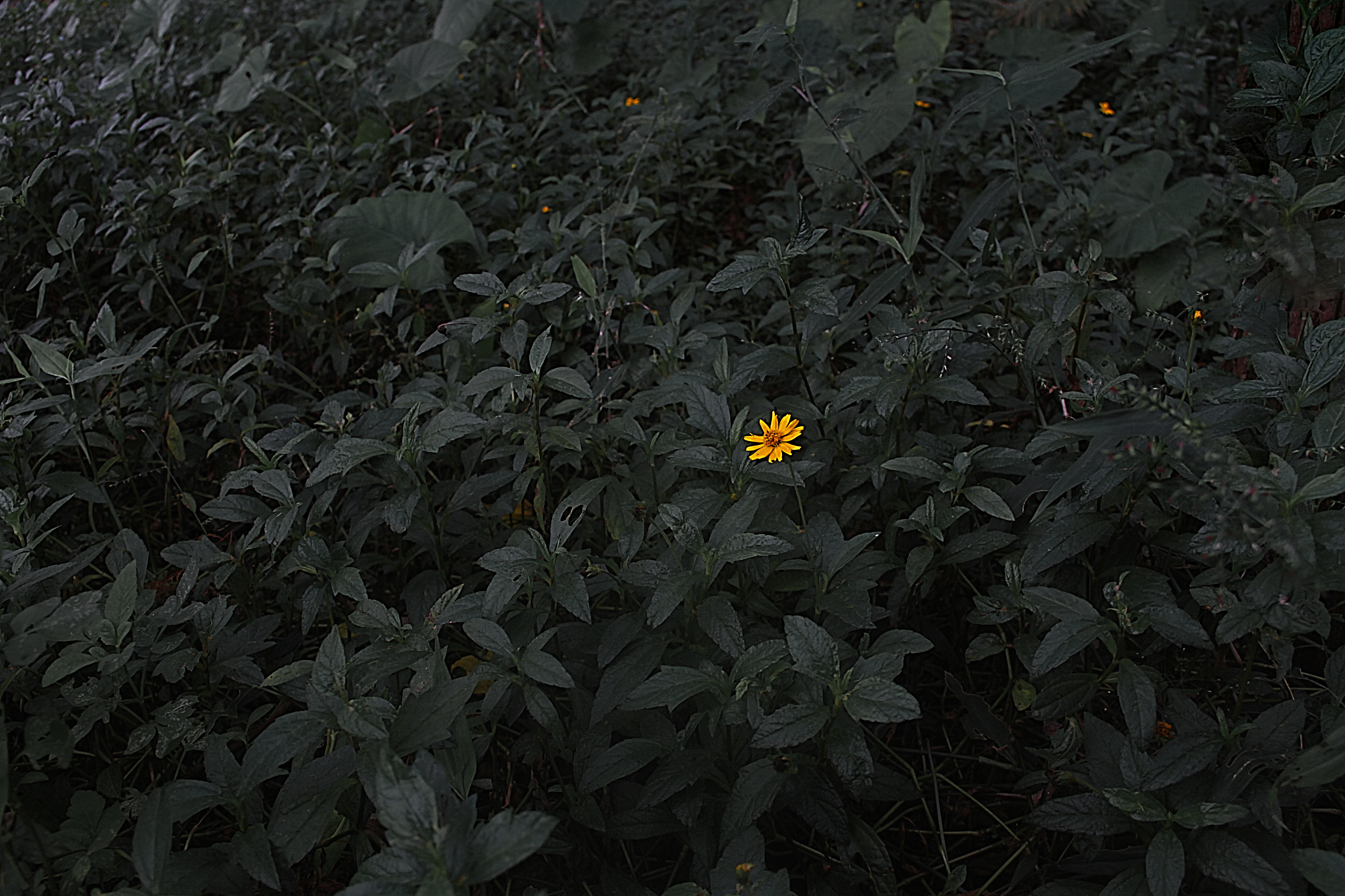 拍摄怎么设置镜头比例,镜头焦段的选择技巧