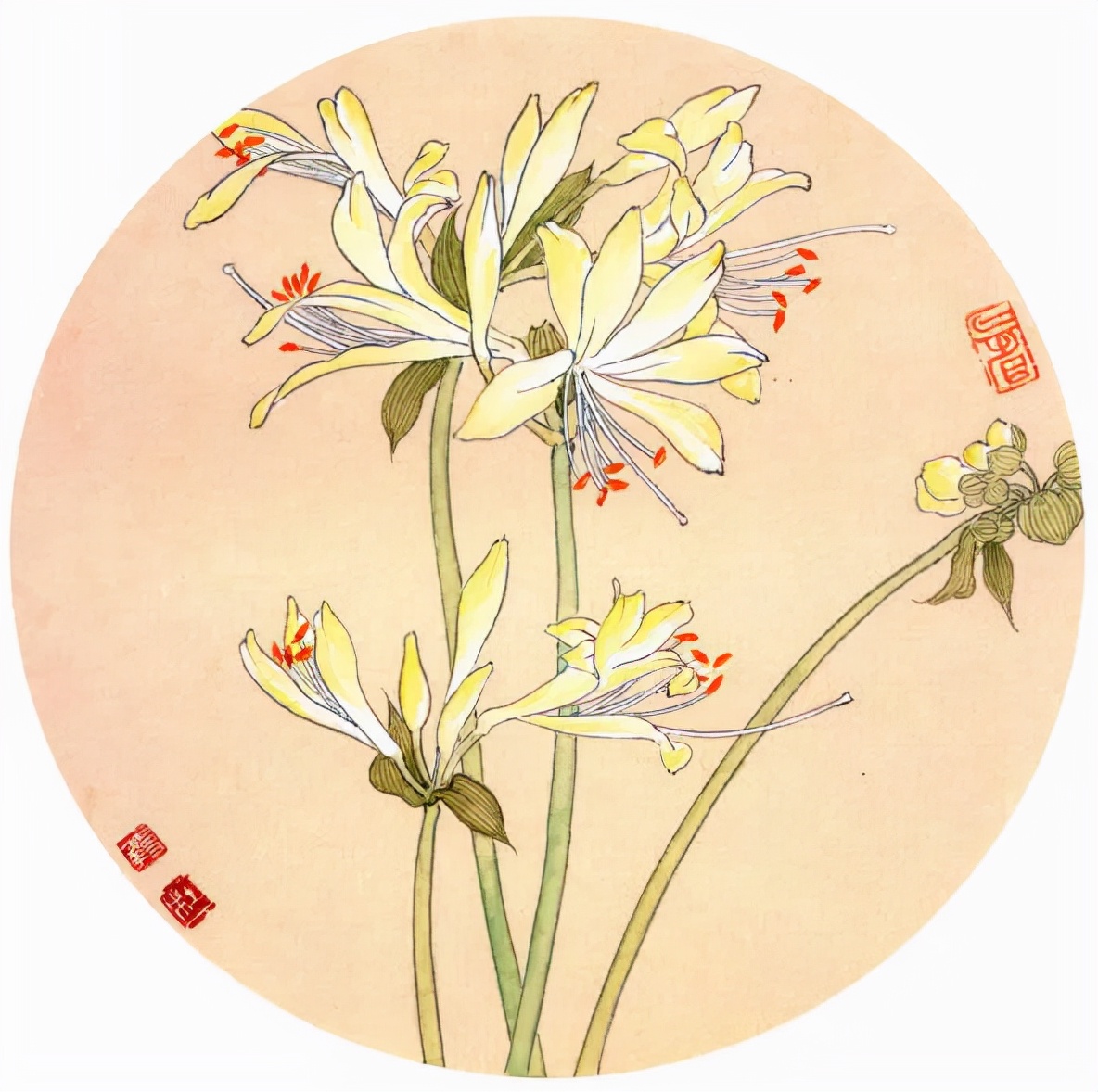 杜曼华美人蕉工笔画,淡雅空灵杜曼华工笔花鸟作品40幅