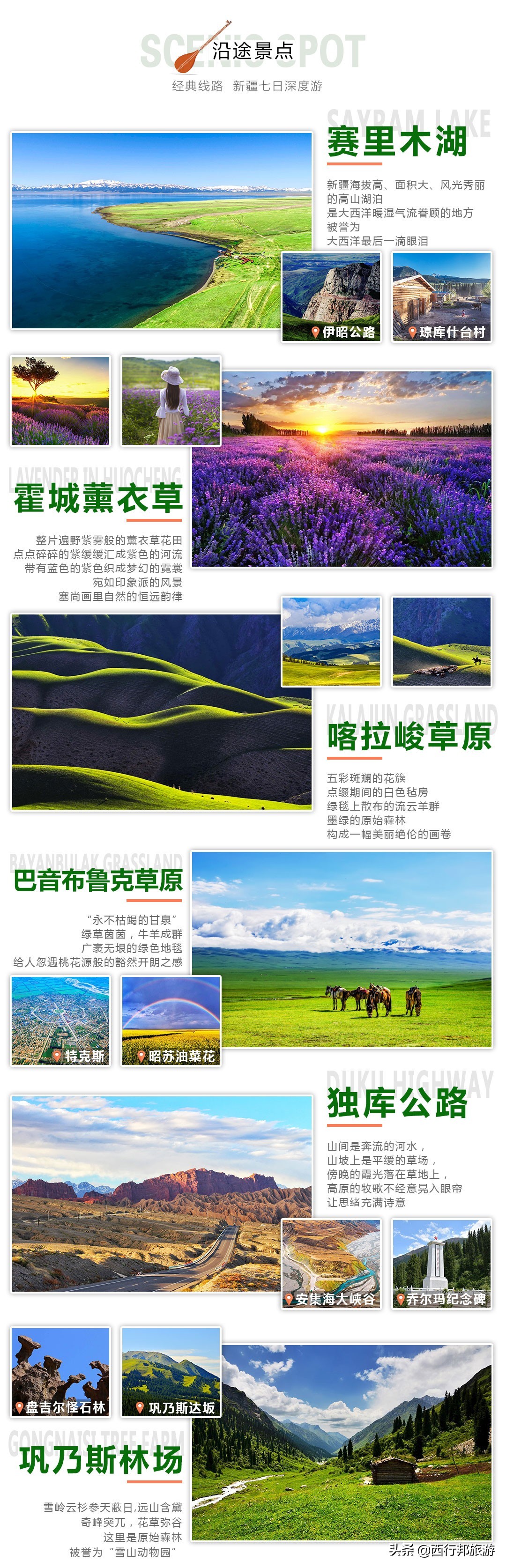 哼，又想「骗」我去*疆新**旅游！