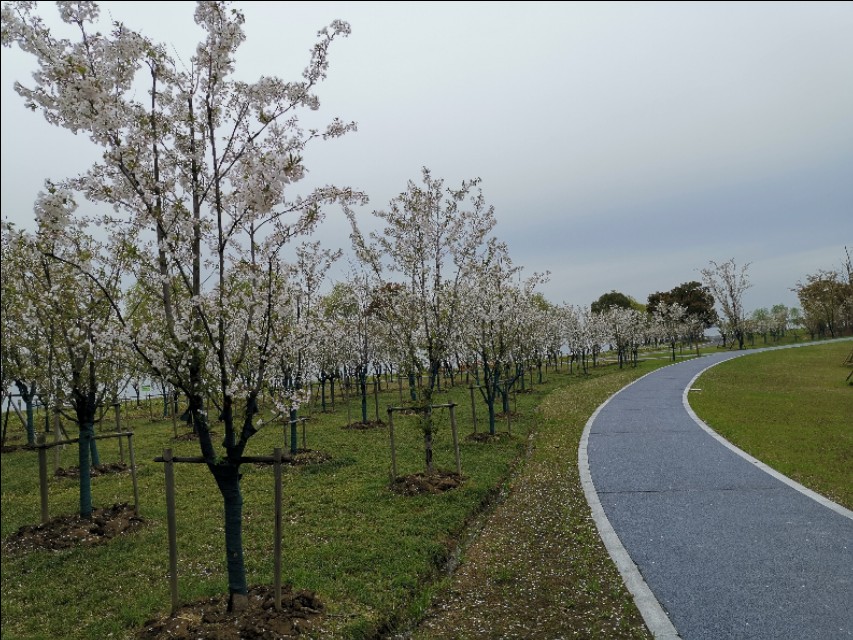 打造职场情商来提升职场地位,职场免疫力问题